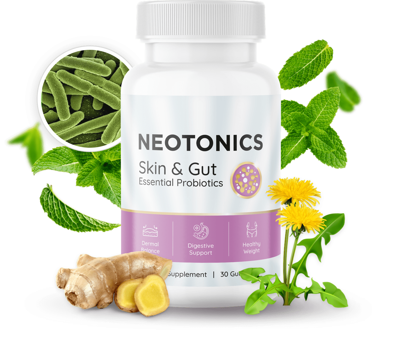 Neotonics Official Supplement Bottle